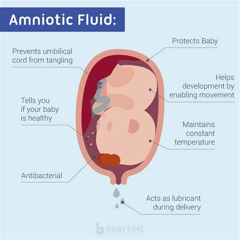 pregnant leaking fluid|Leaking Amniotic Fluid: Signs, Causes, and。